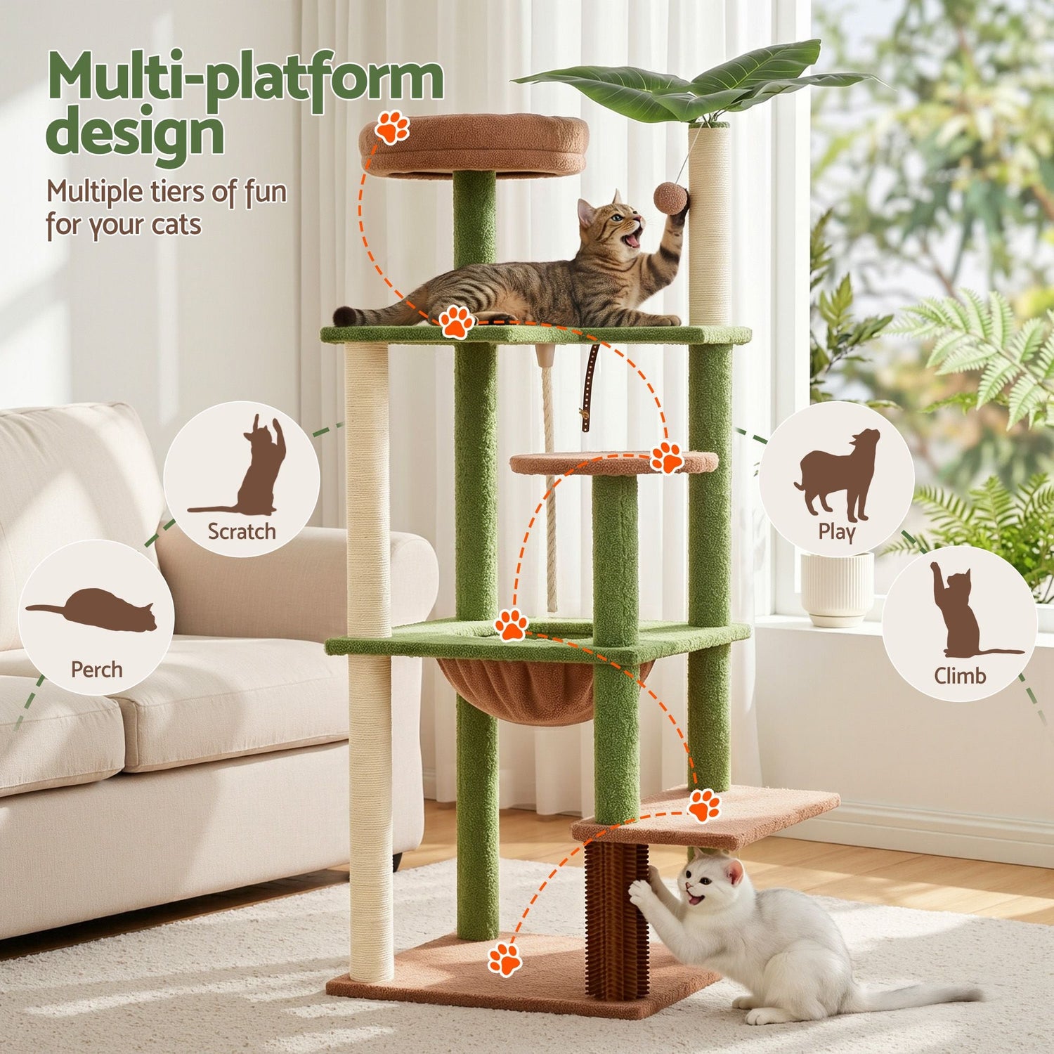 Cat Supplies