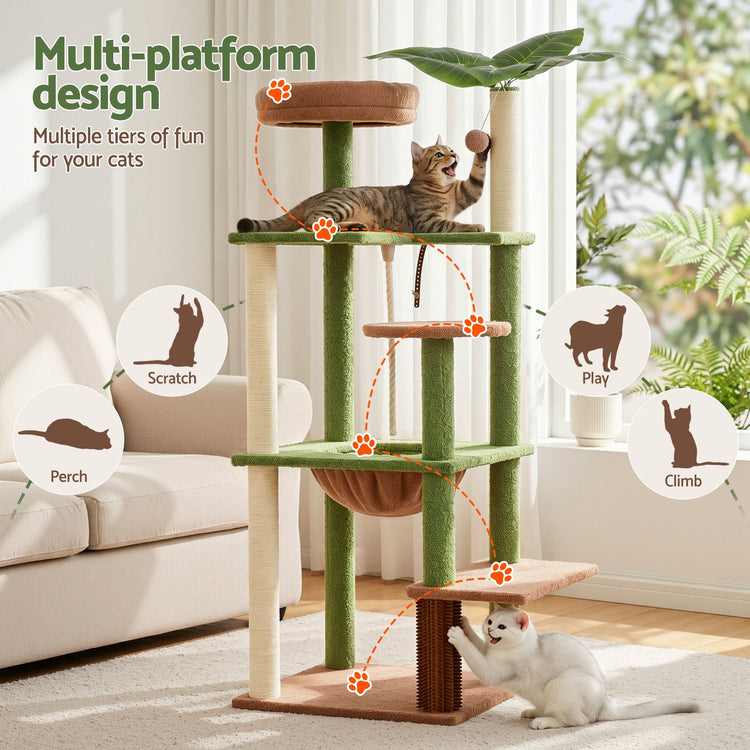 Cat Supplies