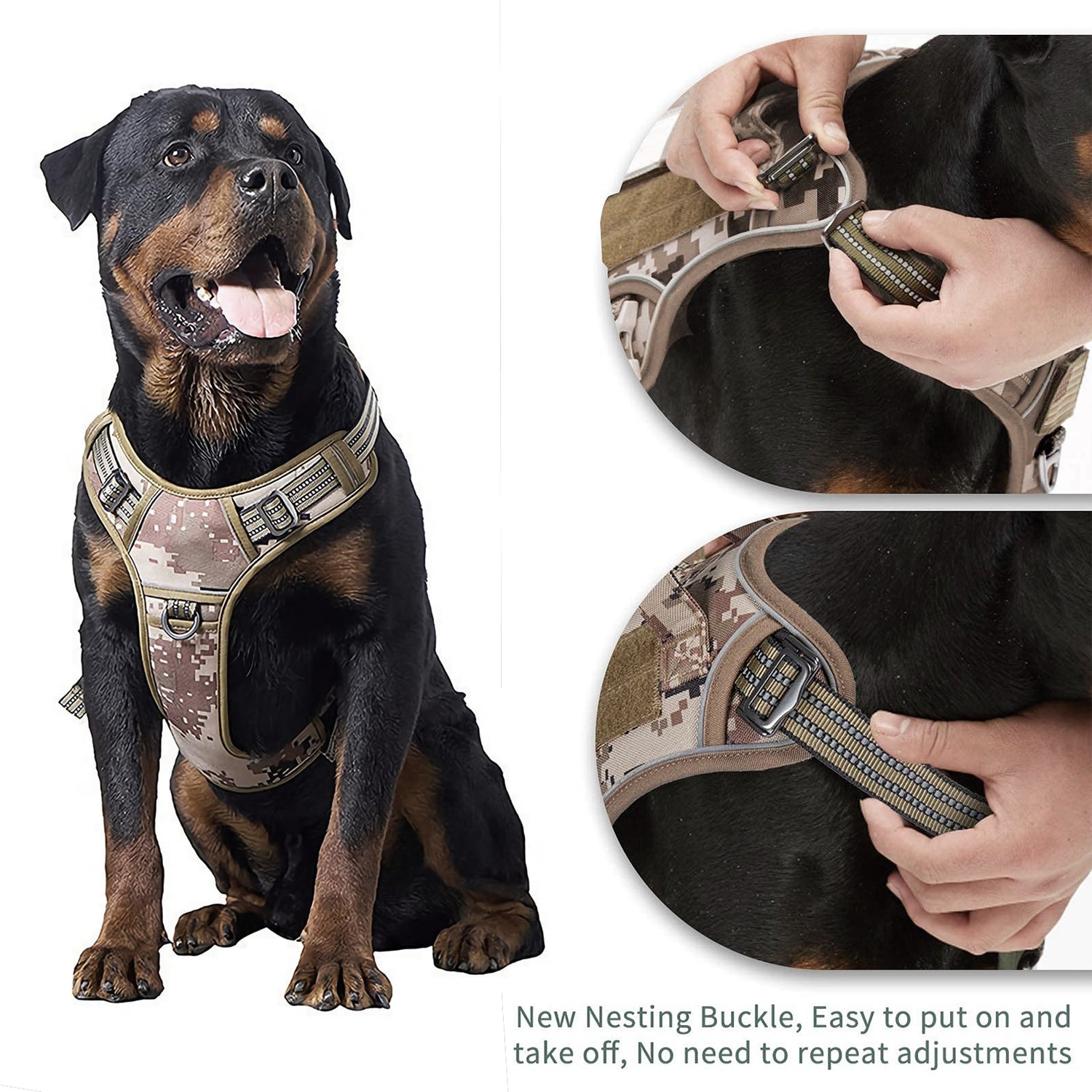 Dog Supplies